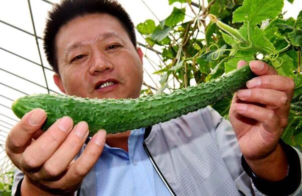 生鮮食材配送為什么大多不能與客戶建立長(zhǎng)期合作？